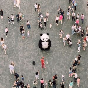 Meet your Posher, Ronald